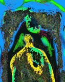 Nos pensées - GALERIE 2